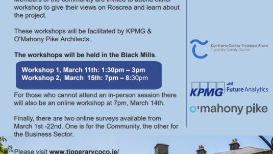 Have your say Roscrea